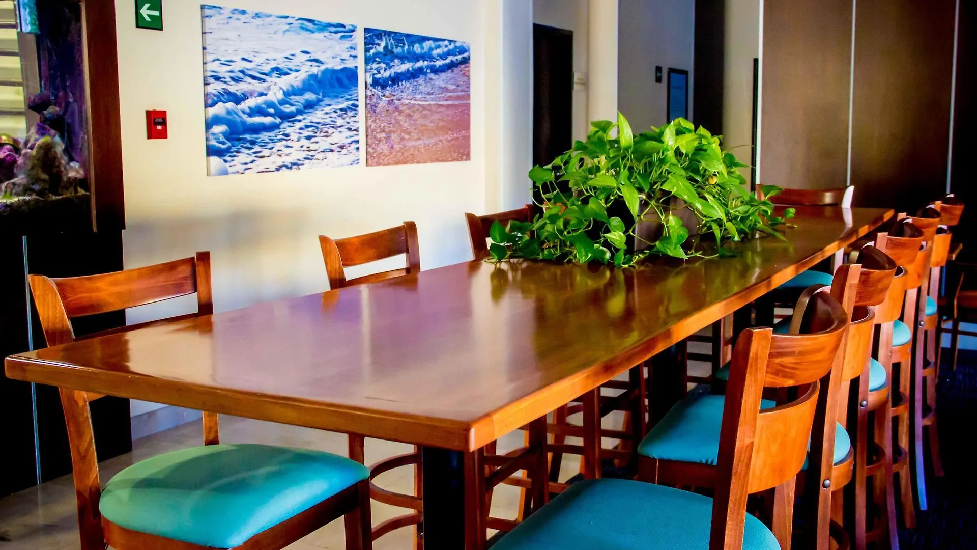 Fairfield By Marriott Los Cabos Cabo San Lucas Hotel